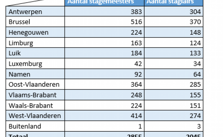 Cijfers onder de loep: stagemeesters